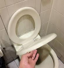 toilet seat - touch it 2